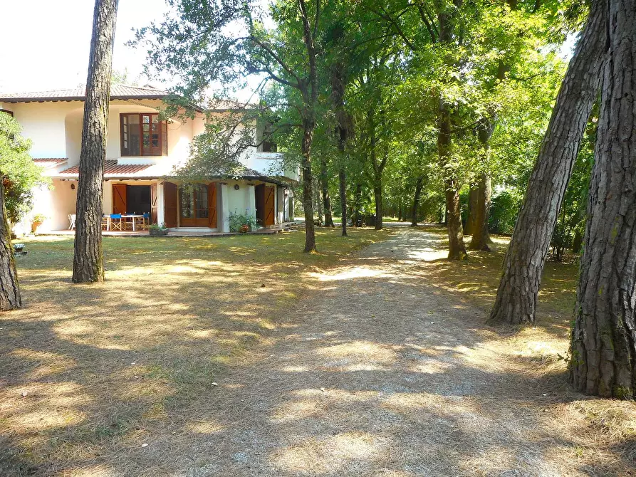 Immagine 3 di Casa bifamiliare in vendita  a Massa