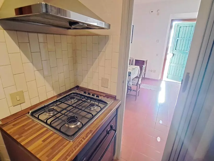 Immagine 9 di Appartamento in vendita  a Rosignano Marittimo
