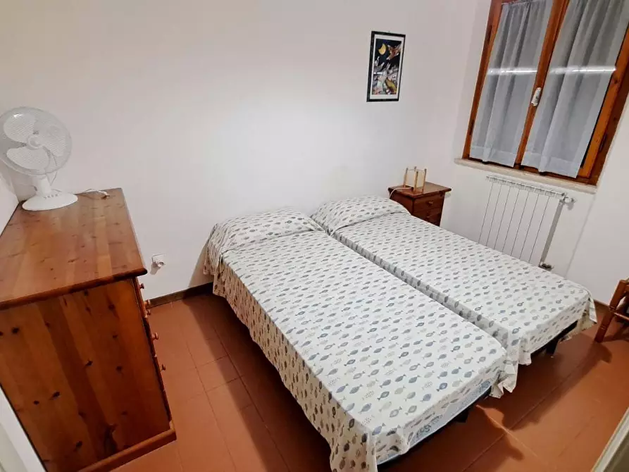 Immagine 8 di Appartamento in vendita  a Rosignano Marittimo