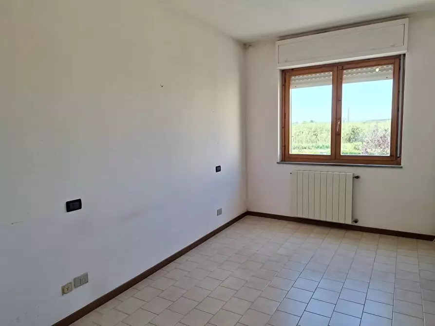 Immagine 15 di Appartamento in vendita  a Cecina