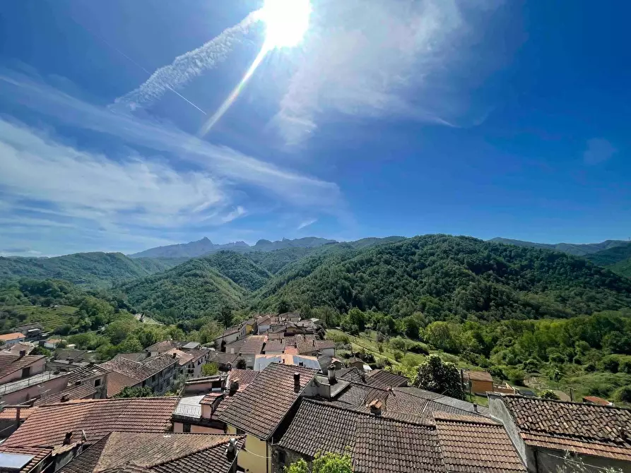 Immagine 3 di Terratetto in vendita  a Fivizzano