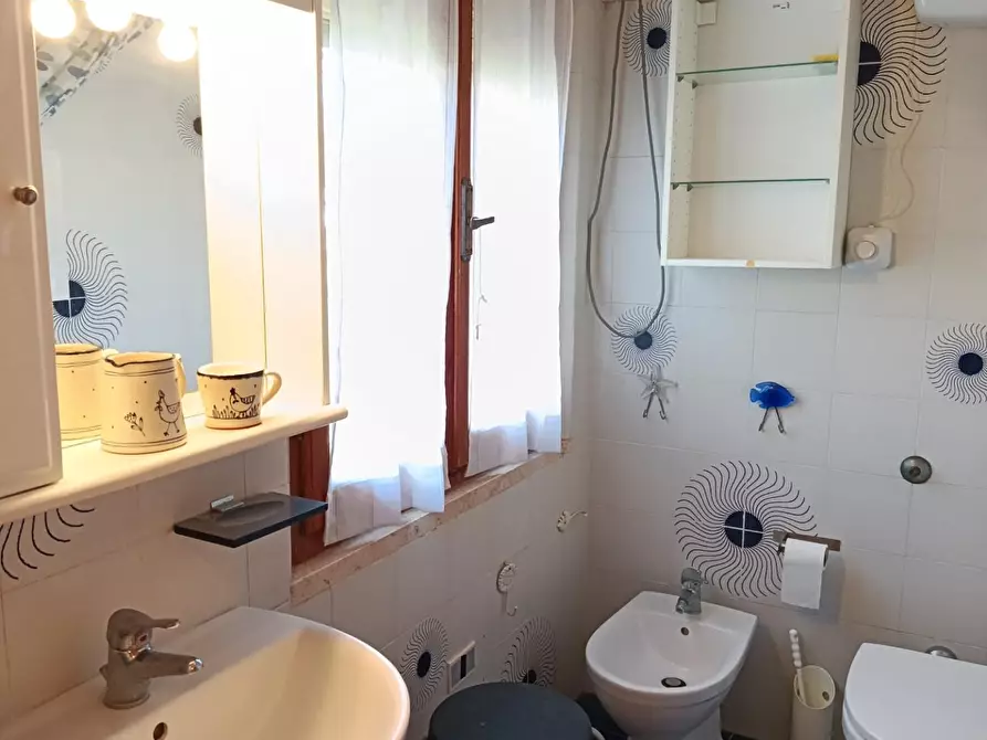 Immagine 8 di Appartamento in vendita  a Rosignano Marittimo