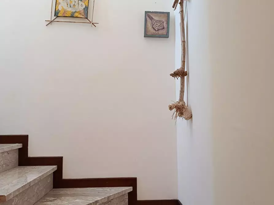 Immagine 12 di Appartamento in vendita  a Rosignano Marittimo