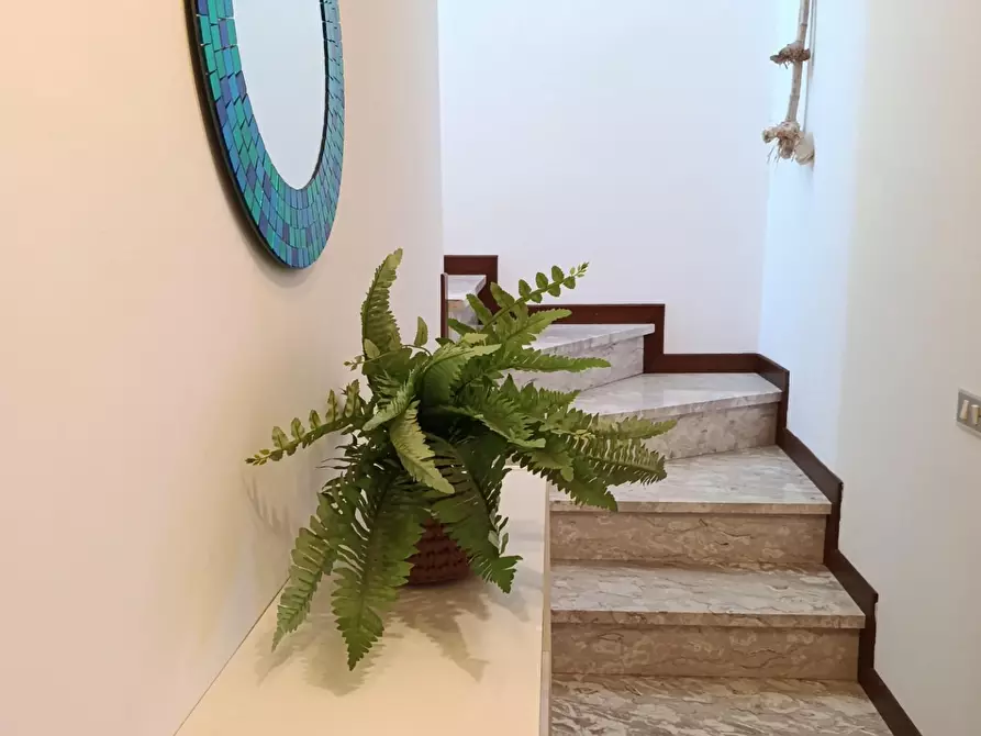 Immagine 11 di Appartamento in vendita  a Rosignano Marittimo