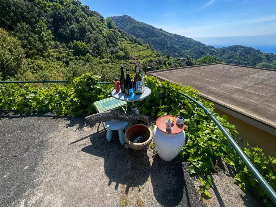 Immagine 49 di Casa semindipendente in vendita  a Vernazza