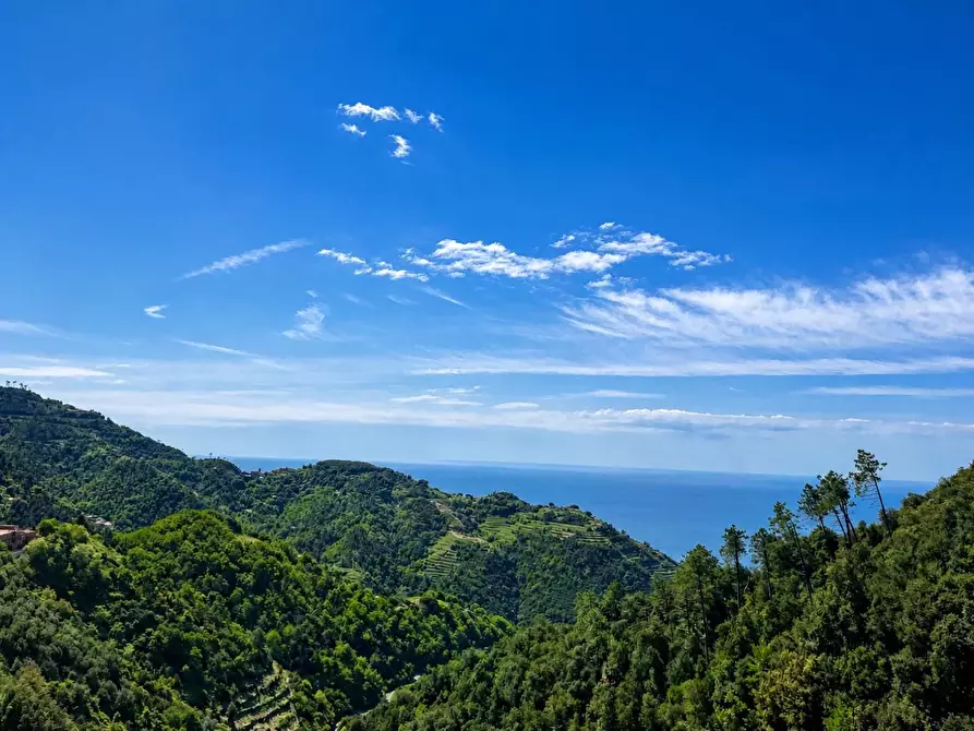 Immagine 1 di Casa semindipendente in vendita  a Vernazza