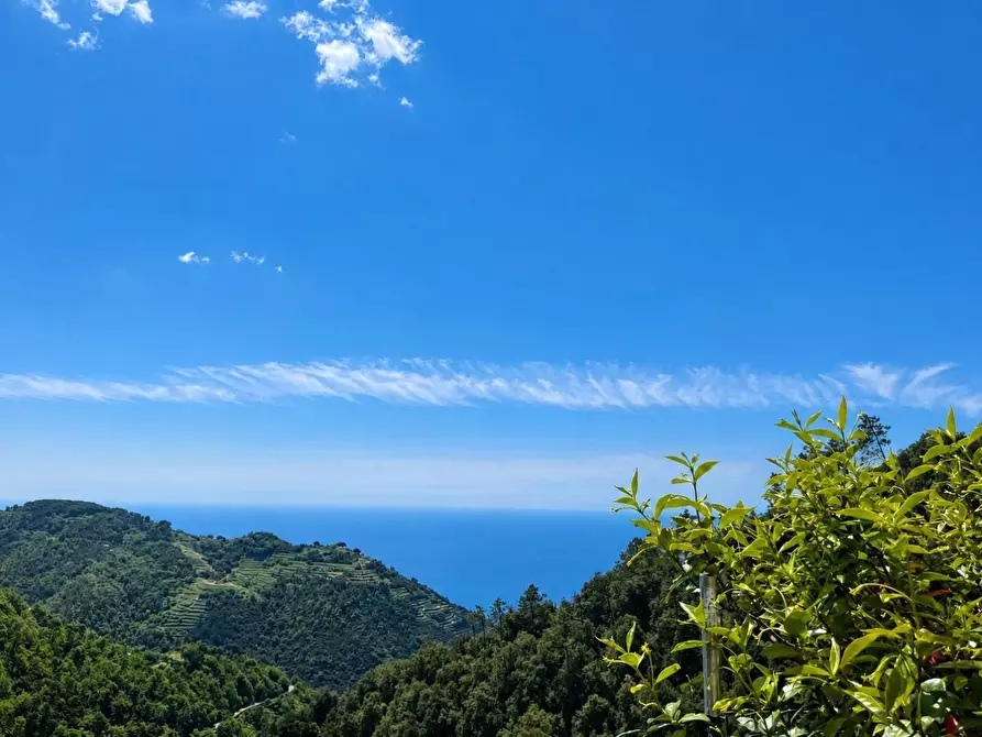 Immagine 50 di Casa semindipendente in vendita  a Vernazza