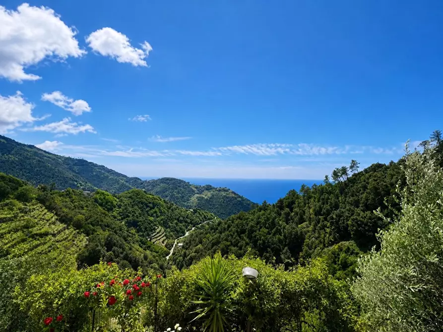 Immagine 7 di Casa semindipendente in vendita  a Vernazza