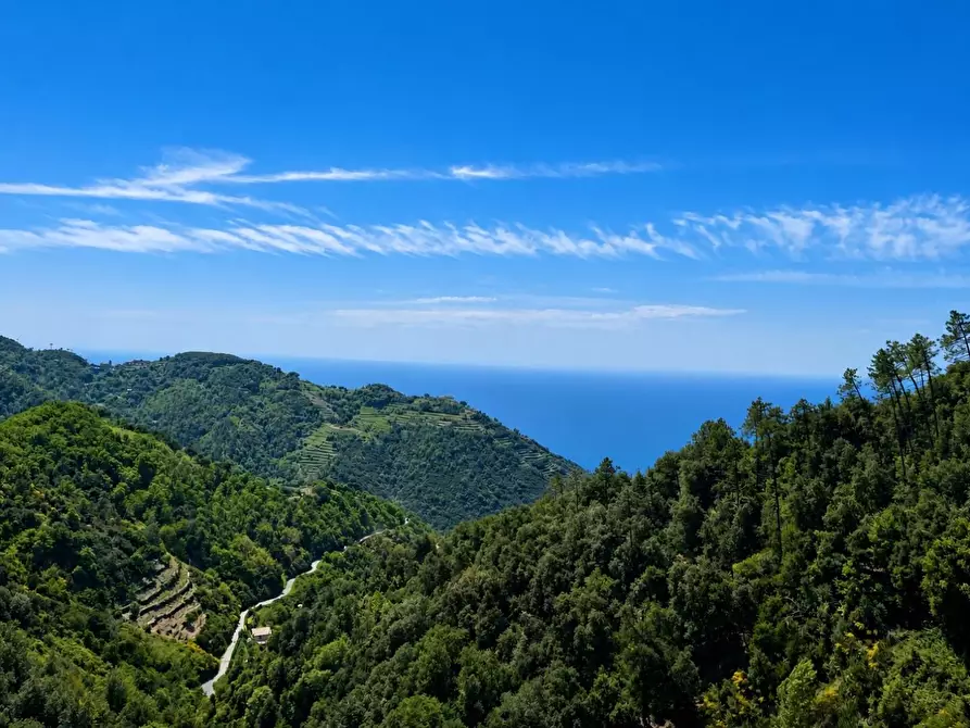 Immagine 37 di Casa semindipendente in vendita  a Vernazza