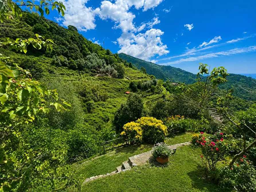 Immagine 45 di Casa semindipendente in vendita  a Vernazza