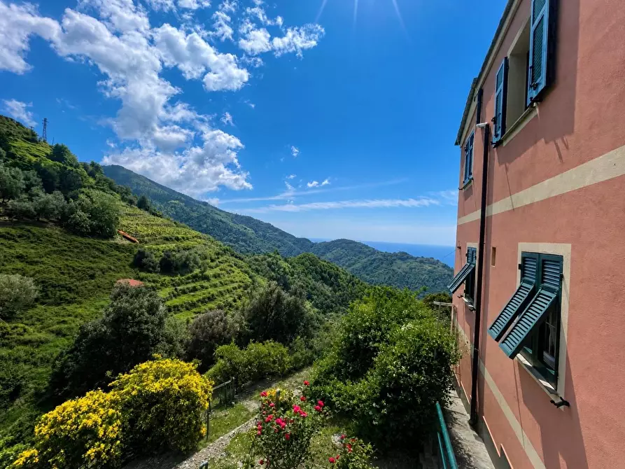 Immagine 4 di Casa semindipendente in vendita  a Vernazza
