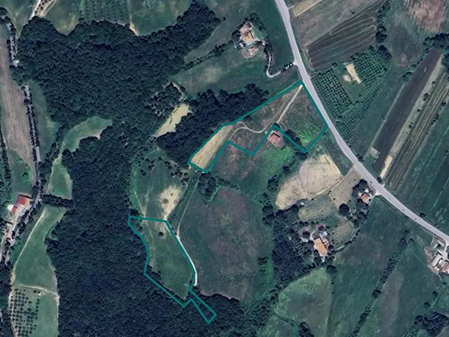 Immagine 1 di Terreno agricolo in vendita  a Lajatico