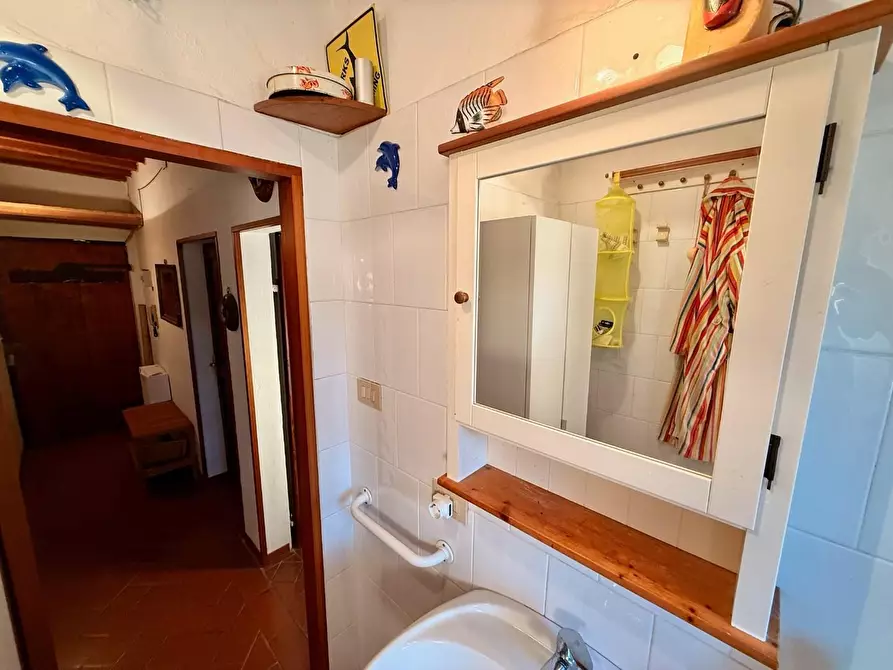 Immagine 37 di Appartamento in vendita  a Casole D'elsa