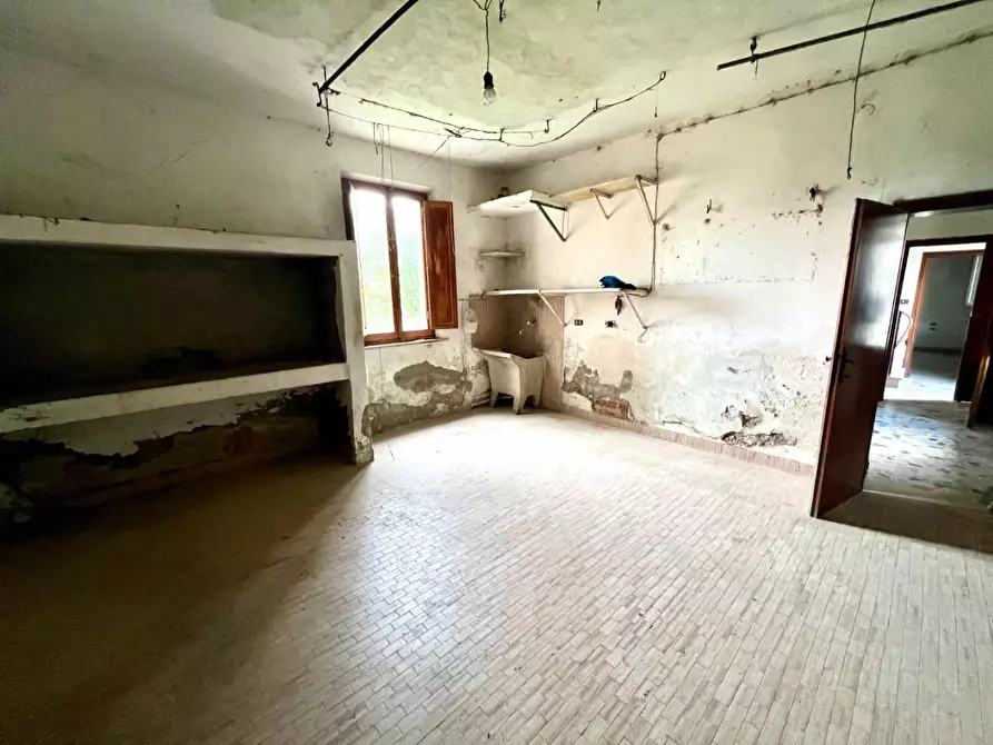 Immagine 30 di Terratetto in vendita  a Santa Maria A Monte