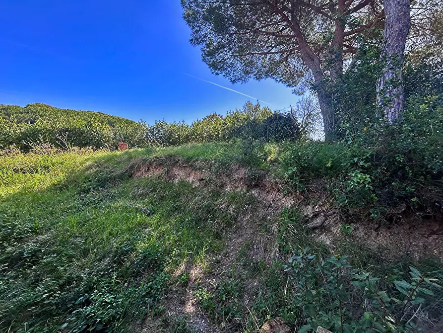 Immagine 3 di Villa in vendita  a Livorno