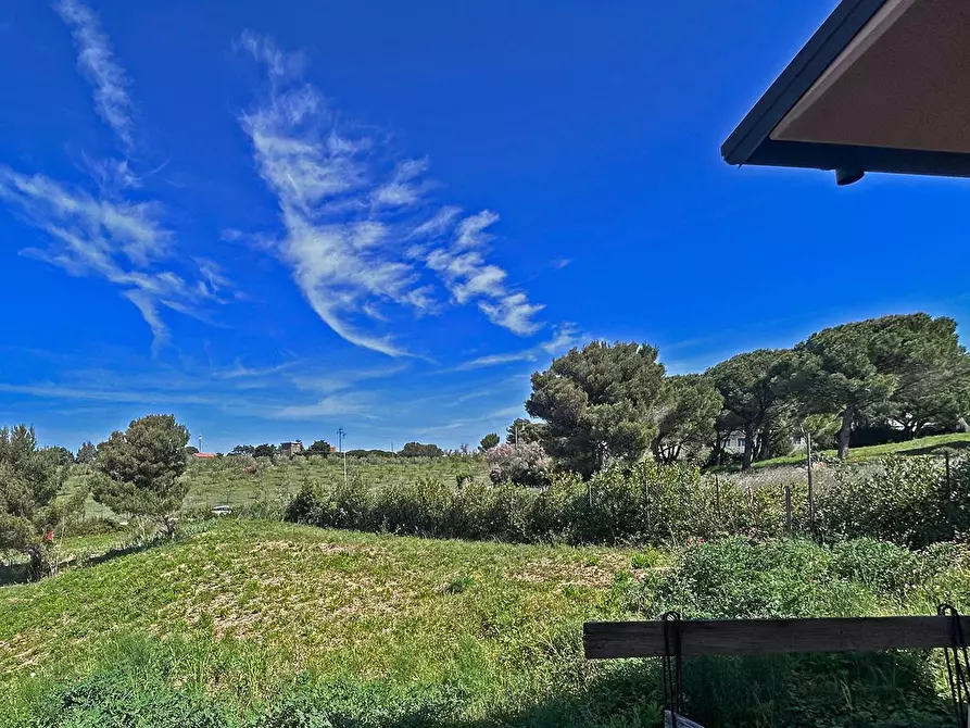 Immagine 2 di Villa in vendita  a Livorno