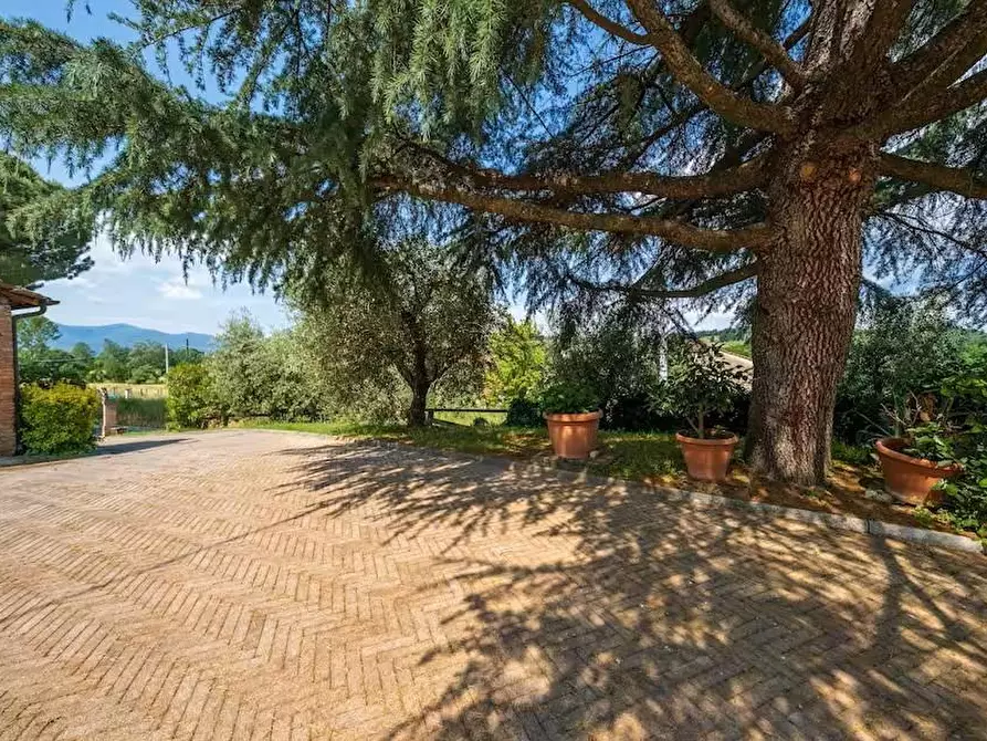 Immagine 12 di Rustico / casale in vendita  a Porcari