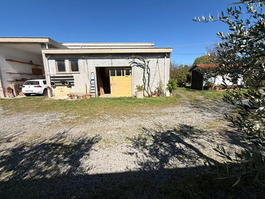 Immagine 36 di Villa in vendita  a Chianni