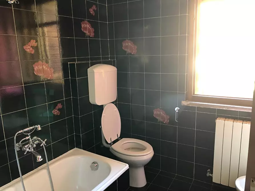 Immagine 12 di Casa bifamiliare in affitto  a Calci