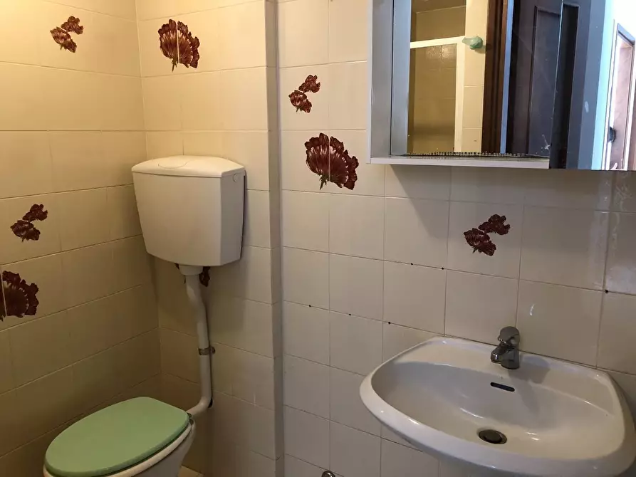 Immagine 15 di Casa bifamiliare in affitto  a Calci