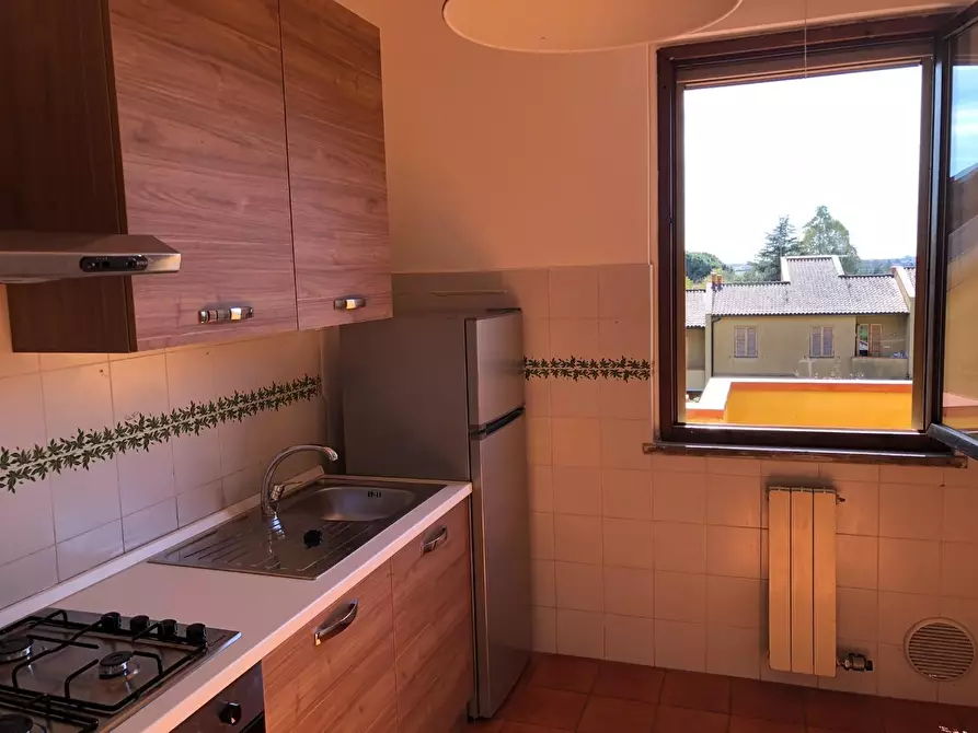 Immagine 6 di Casa bifamiliare in affitto  a Calci