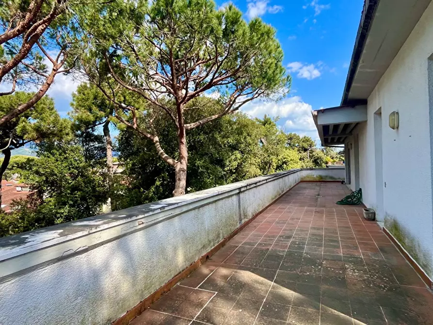 Immagine 6 di Mansarda in vendita  a Massa