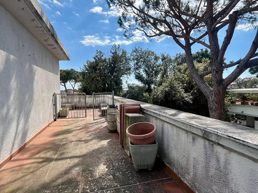 Immagine 7 di Mansarda in vendita  a Massa