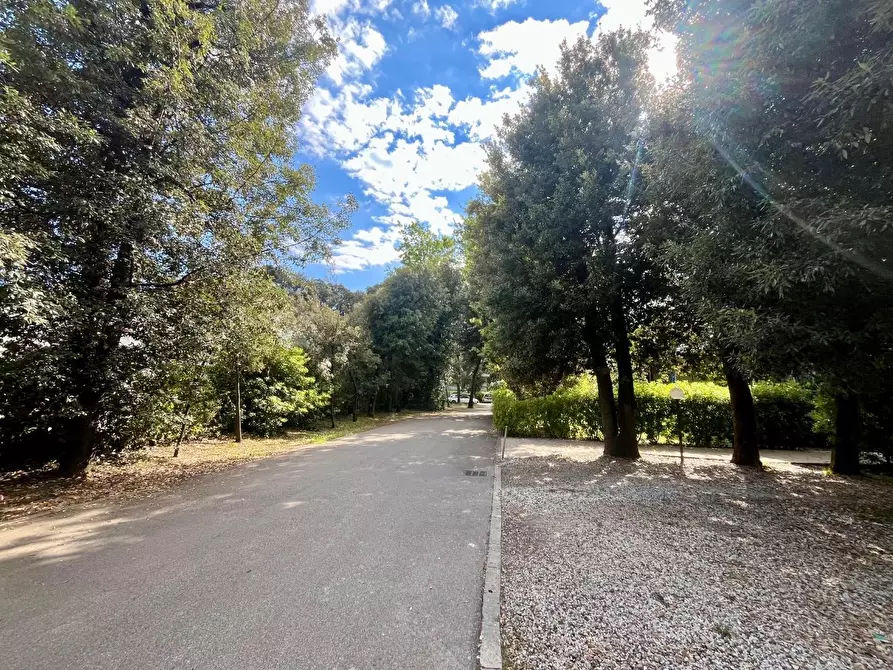 Immagine 17 di Mansarda in vendita  a Massa