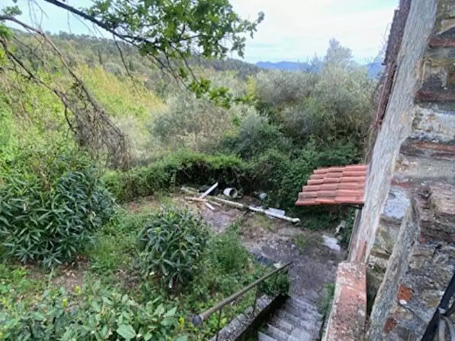 Immagine 19 di Rustico / casale in vendita  a Lucca