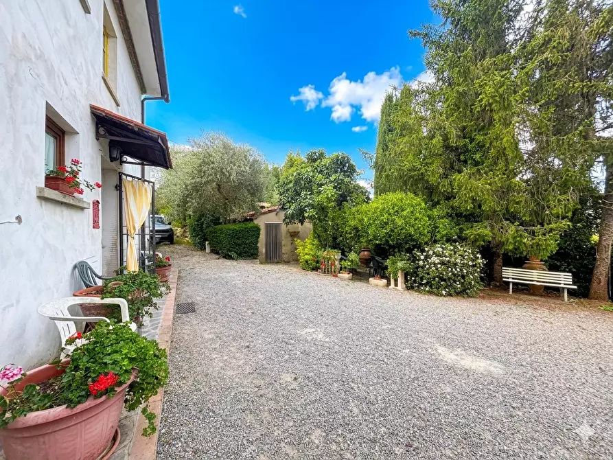 Immagine 4 di Casa colonica in vendita  a Palaia