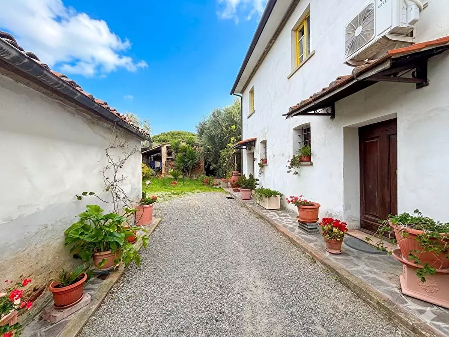 Immagine 2 di Casa colonica in vendita  a Palaia