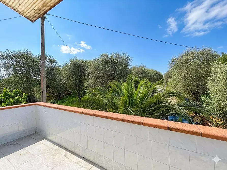 Immagine 7 di Casa colonica in vendita  a Palaia