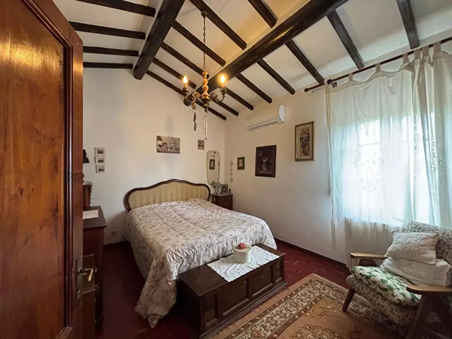 Immagine 13 di Casa colonica in vendita  a Palaia