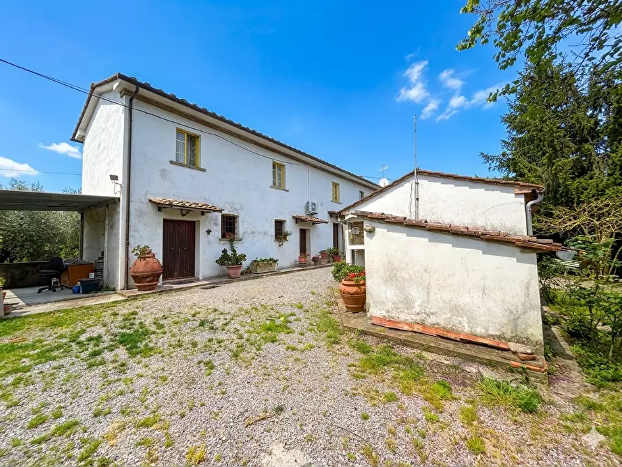 Immagine 3 di Casa colonica in vendita  a Palaia