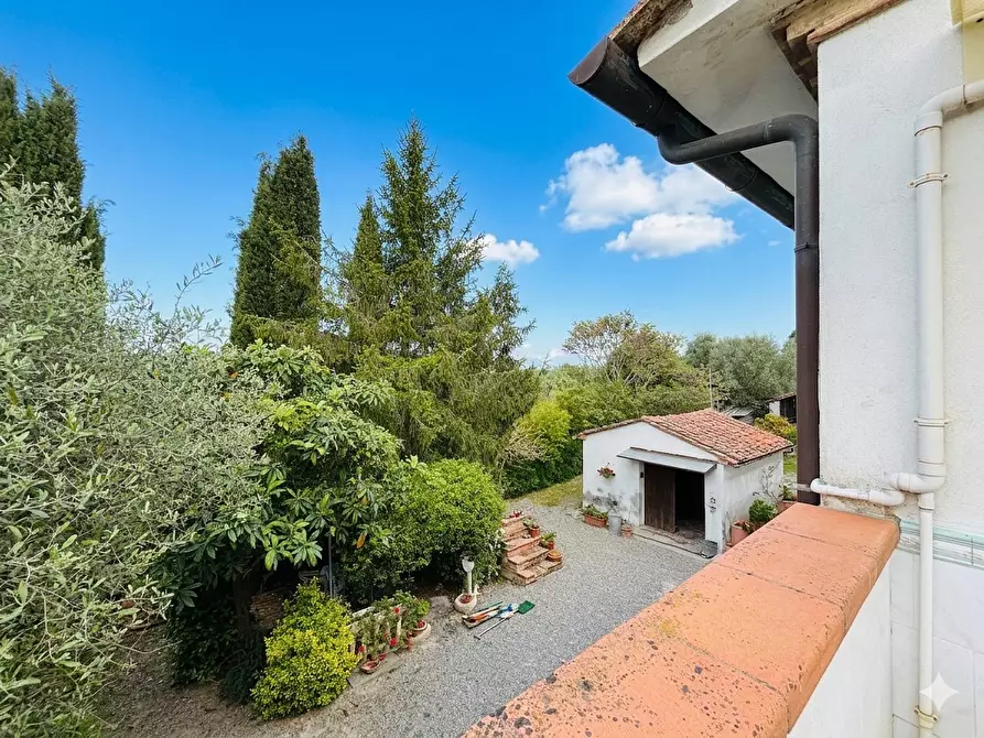 Immagine 6 di Casa colonica in vendita  a Palaia