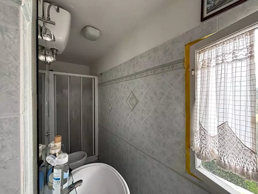 Immagine 18 di Casa colonica in vendita  a Palaia