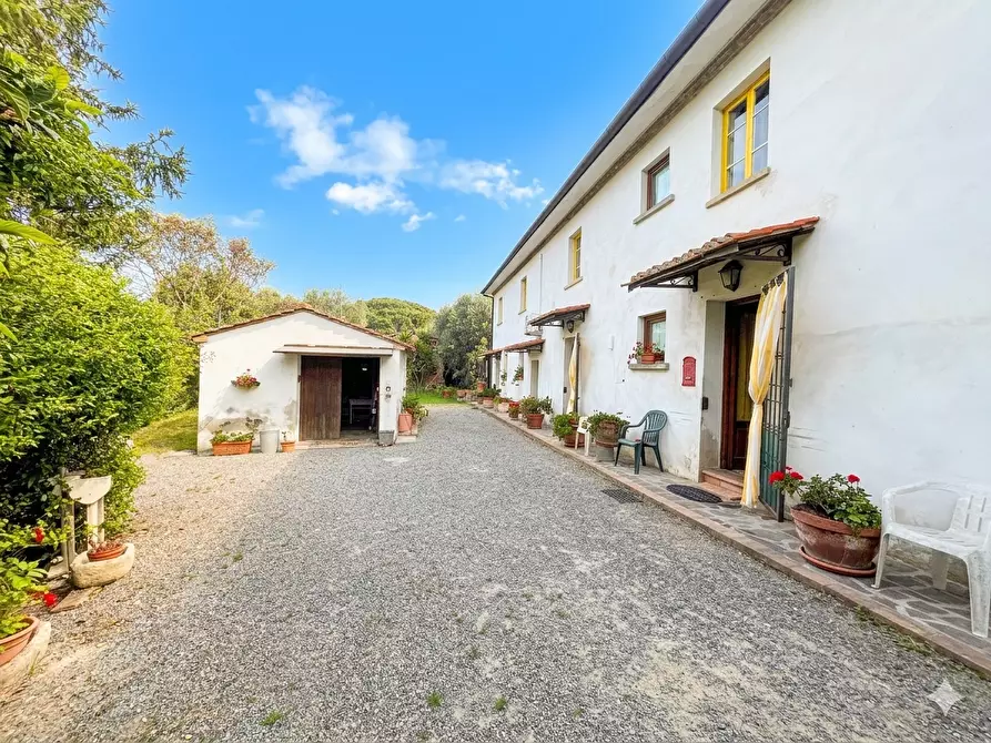 Immagine 1 di Casa colonica in vendita  a Palaia