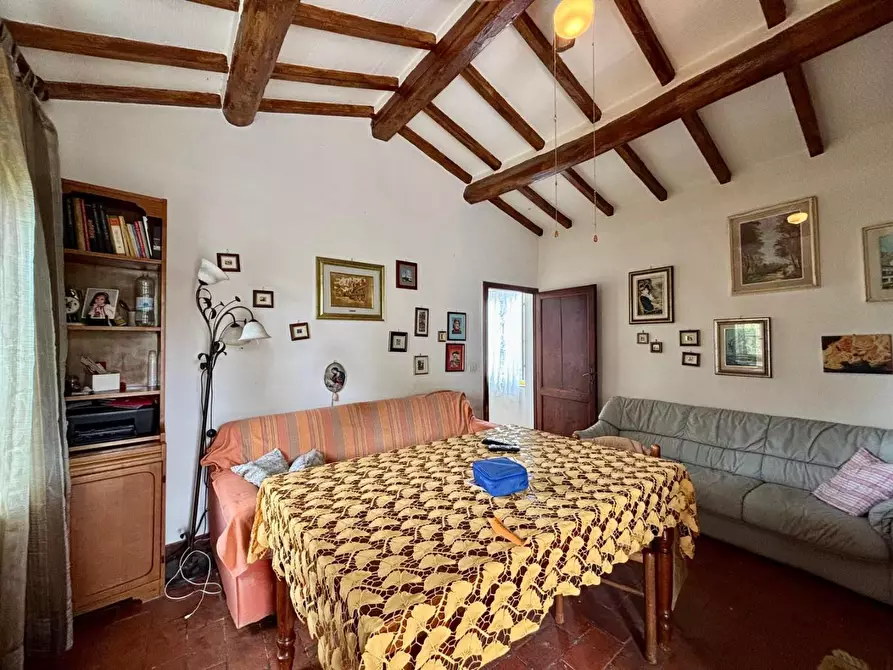 Immagine 10 di Casa colonica in vendita  a Palaia