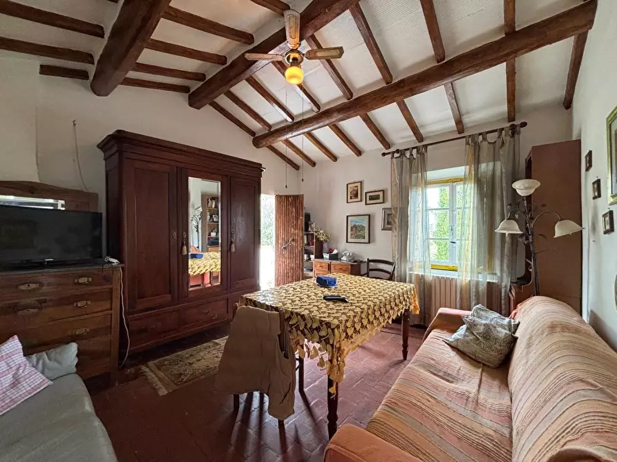 Immagine 9 di Casa colonica in vendita  a Palaia