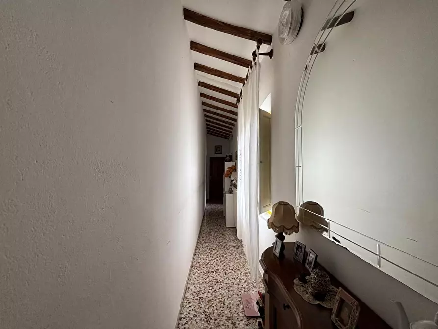 Immagine 16 di Casa colonica in vendita  a Palaia