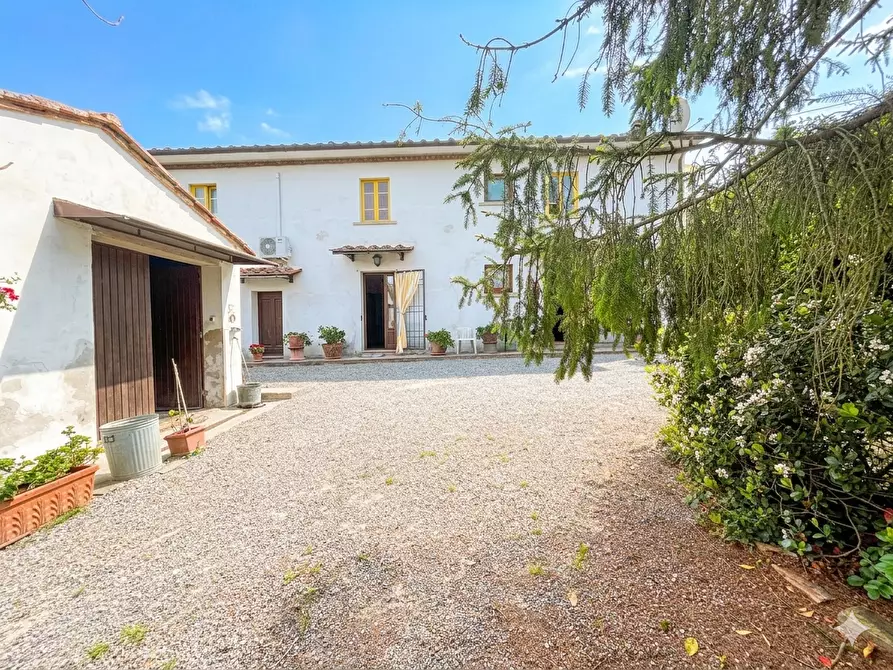 Immagine 5 di Casa colonica in vendita  a Palaia