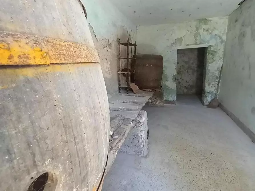 Immagine 47 di Appartamento in vendita  a Carrara