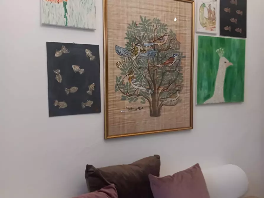 Immagine 96 di Appartamento in vendita  a Carrara