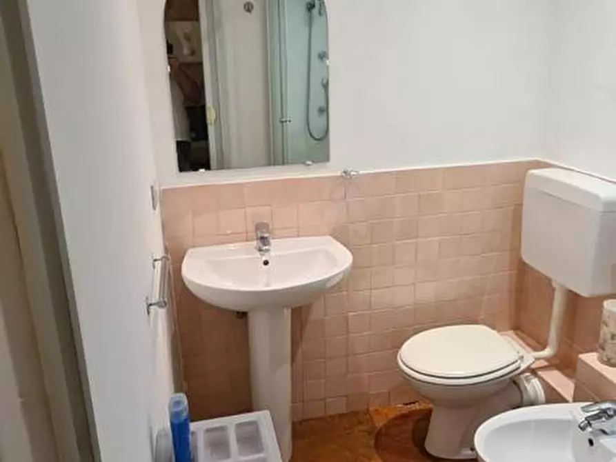 Immagine 19 di Appartamento in affitto  a Pisa