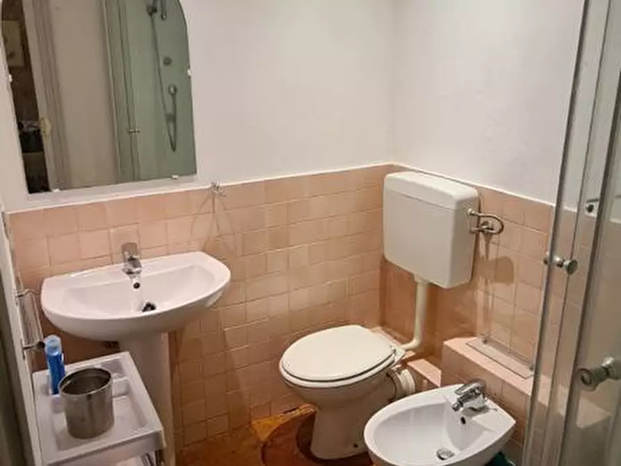 Immagine 18 di Appartamento in affitto  a Pisa