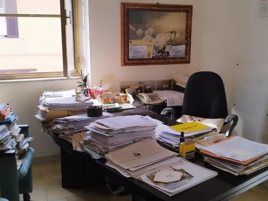 Immagine 3 di Casa trifamiliare in vendita  a Grosseto
