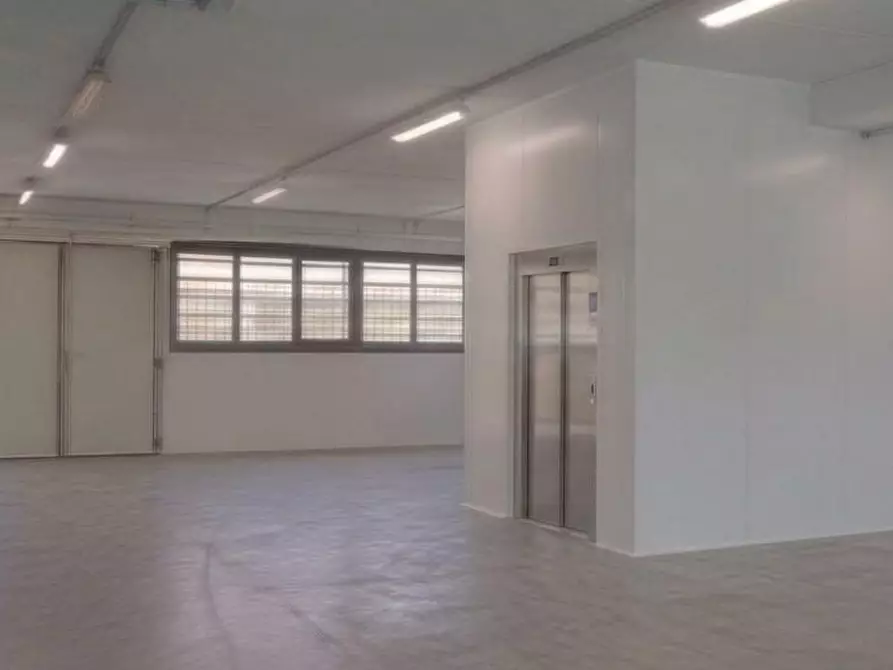 Immagine 10 di Capannone industriale in vendita  a Viareggio