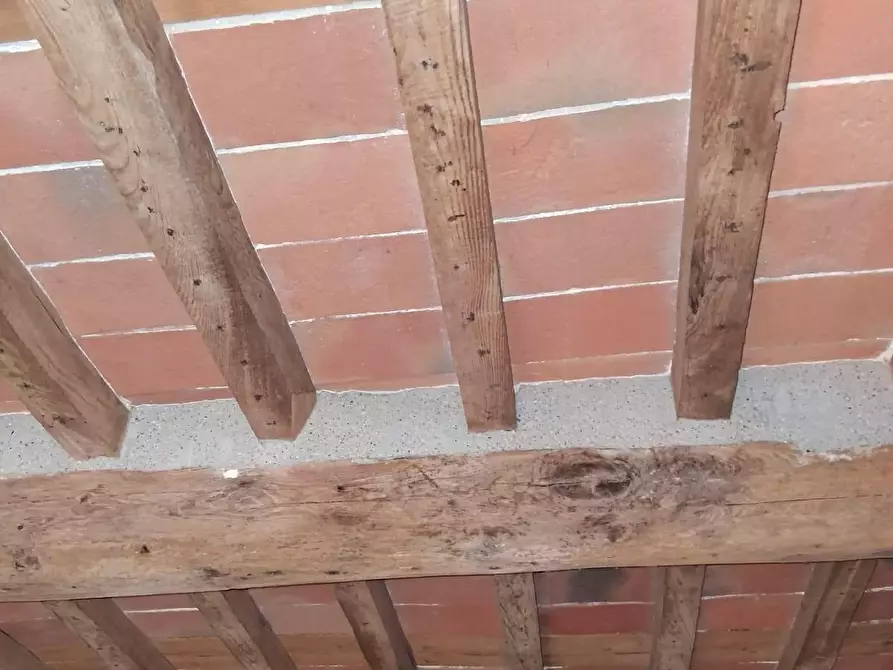 Immagine 12 di Appartamento in vendita  a Carrara