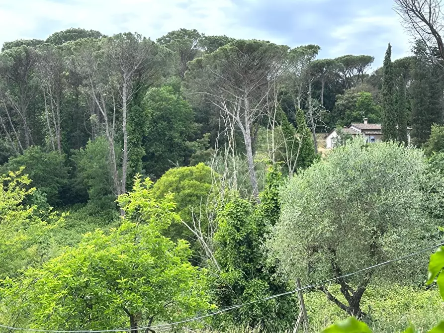 Immagine 29 di Casa colonica in vendita  a Uzzano