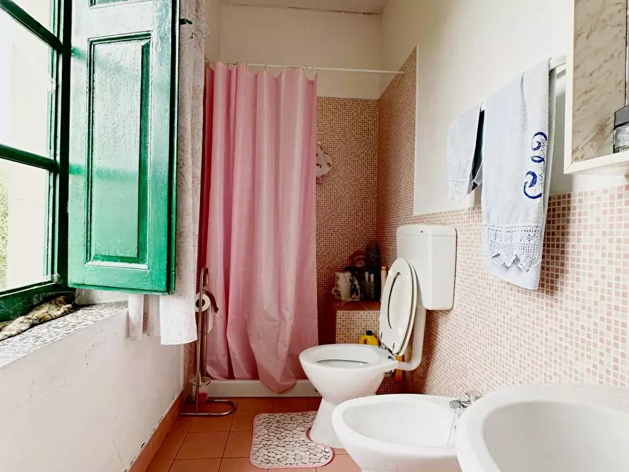 Immagine 21 di Casa colonica in vendita  a Uzzano